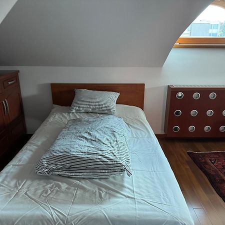 Vila Majda Elegant Apartments With Prime Location And Parking Laibach Exterior foto